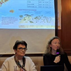 Les déserts dans le monde, avec Ninon Blond