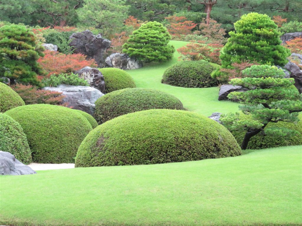 Jardin De Pierre Japonais